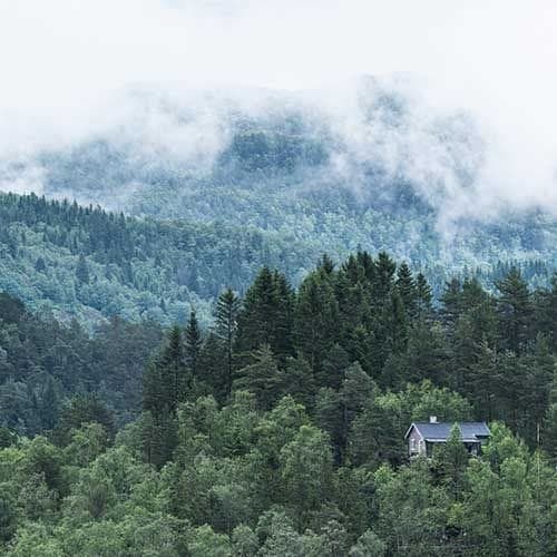 Corporate Reponsibility